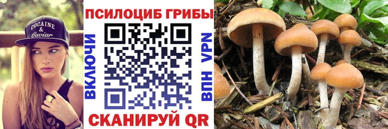 Псилоцибиновые грибы GOLDEN TEACHER  где купить наркоту  Разумное 