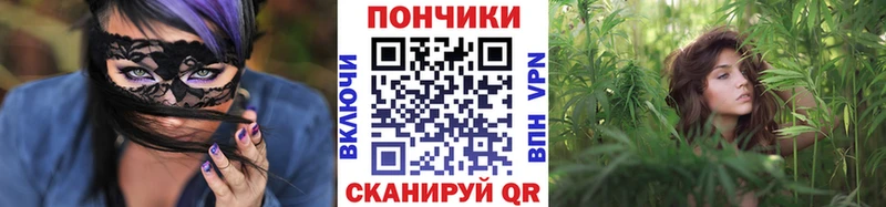 Бошки марихуана планчик  Разумное 